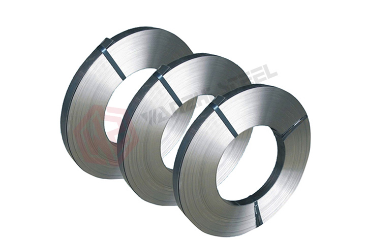 Stainless Steel Strip/band