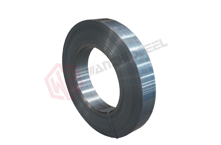 Stainless Steel Strip/band